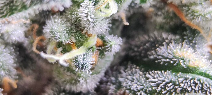 Growreport Bild 17