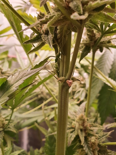 Growreport Bild 2