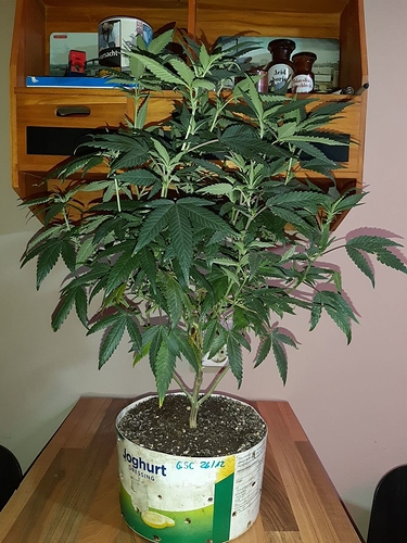 Growreport Bild 10