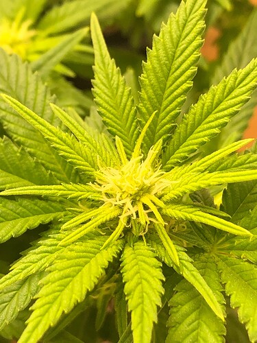 Growreport Bild 8