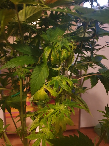 Growreport Bild 4