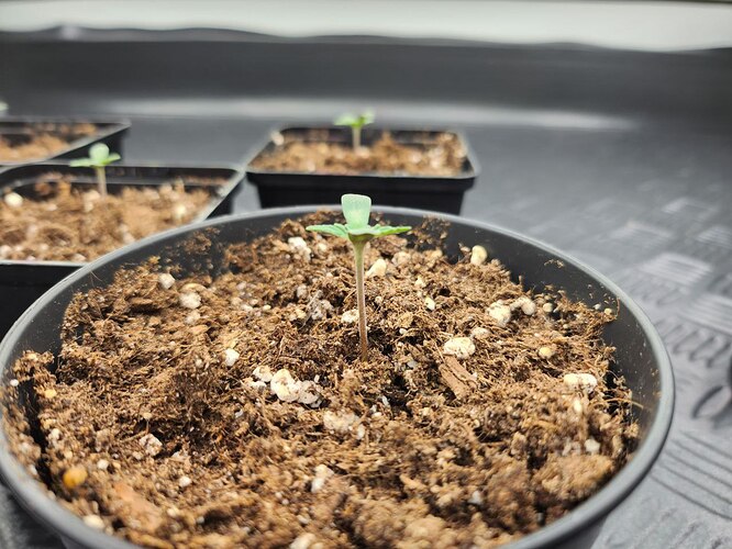 photo_2023-07-31_19-29-12