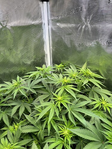 Growreport Bild 1