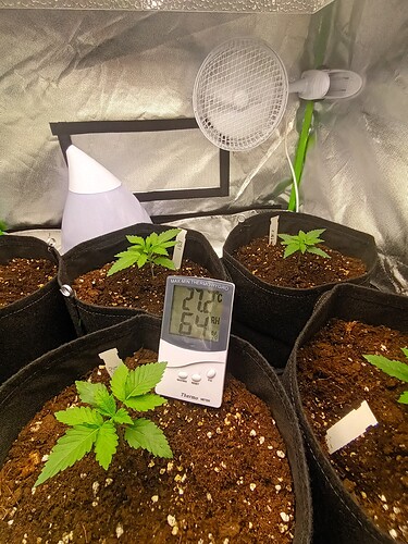 Growreport Bild 22