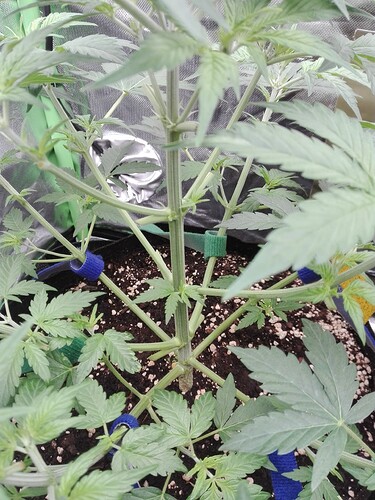 Growreport Bild 17