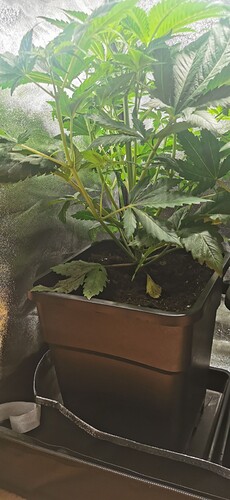 Growreport Bild 9