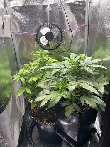 Growreport Bild 16