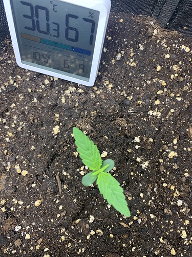 E0BB8EBB-3178-4E57-8328-3DBFA5C9E6A2