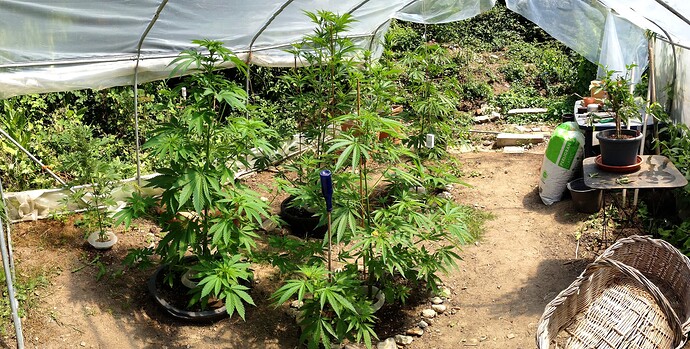 070_SiebterSiebter_19