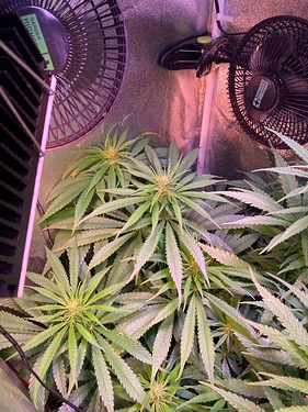 Growreport Bild 11