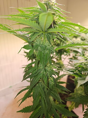 Growreport Bild 12