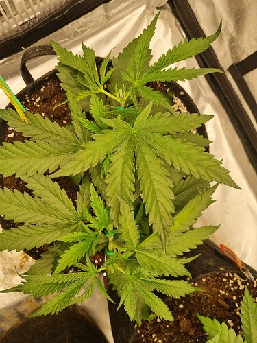 Growreport Bild 18