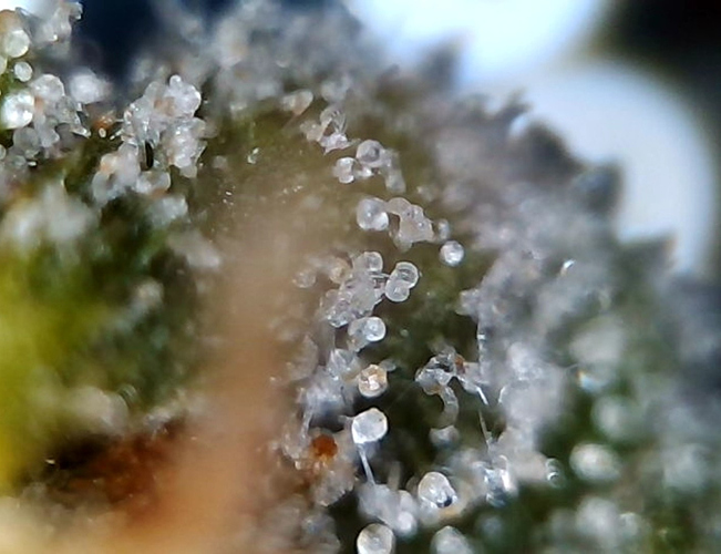 Growreport Bild 16