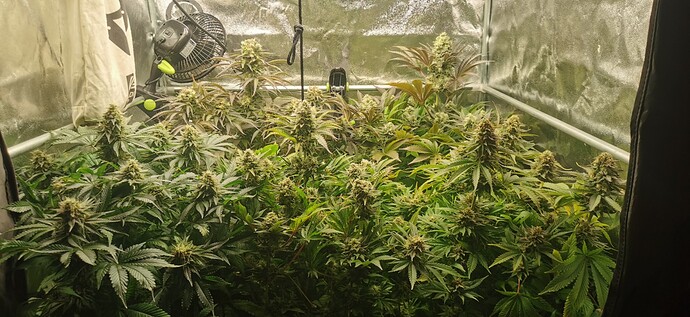 Growreport Bild 8