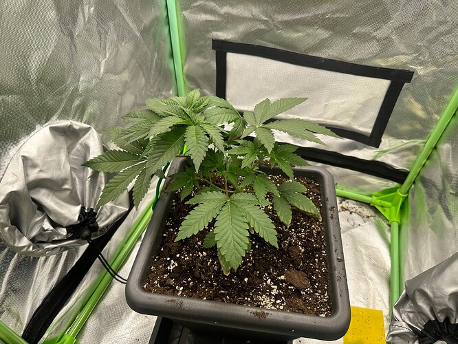 Growreport Bild 2