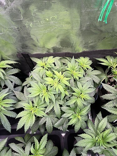 Growreport Bild 10