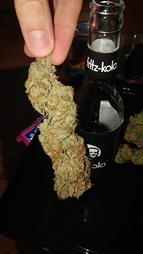 Growreport Bild 1