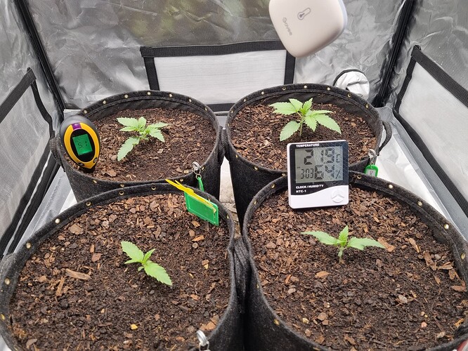 Growreport Bild 43