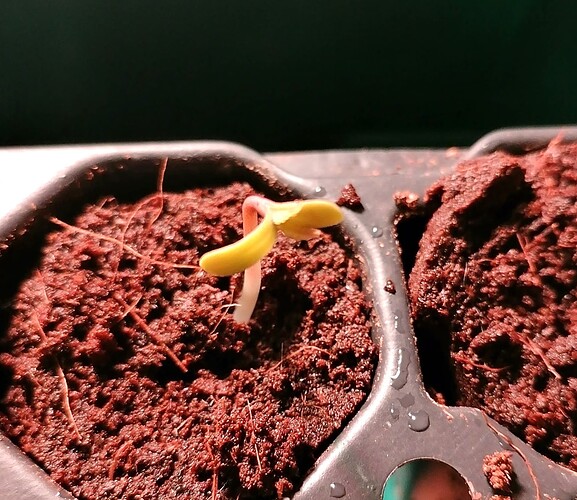 Growreport Bild 16