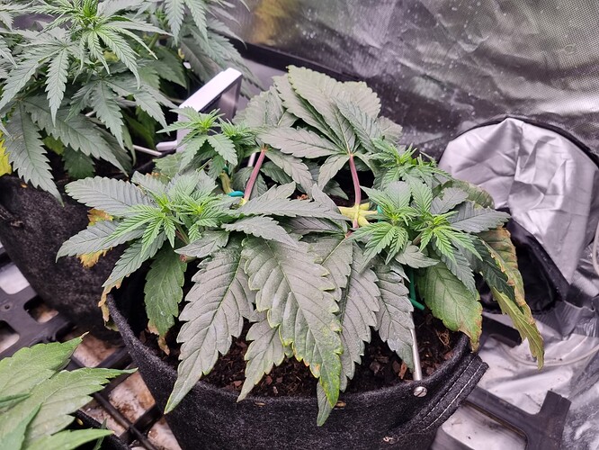 Growreport Bild 13