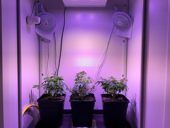 Growreport Bild 1