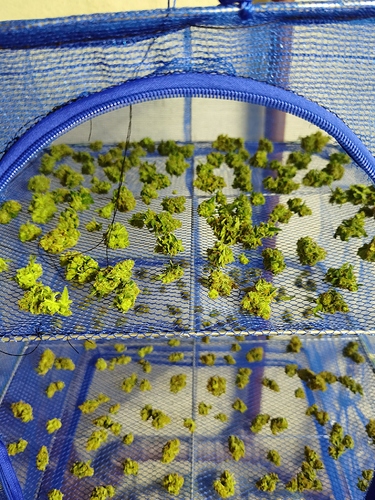 Growreport Bild 8
