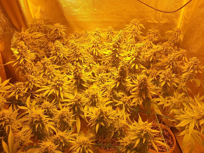 Growreport Bild 14