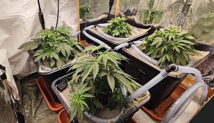 Growreport Bild 4