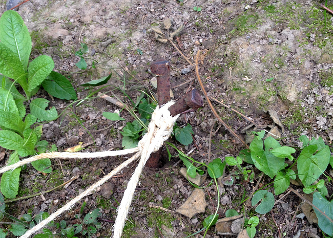 Growreport Bild 5