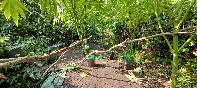 Growreport Bild 4