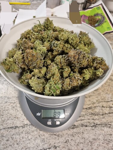 Growreport Bild 20