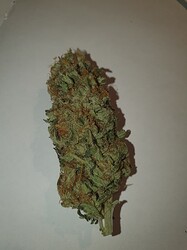 Growreport Bild 4