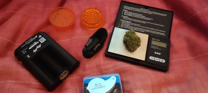 Growreport Bild 1