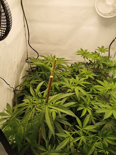 Growreport Bild 8