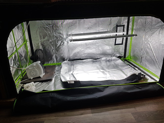 Growreport Bild 6