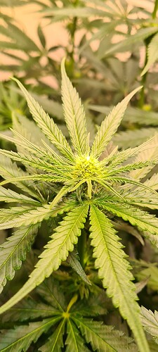 Growreport Bild 11