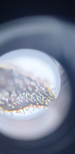 Growreport Bild 19