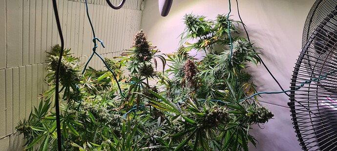 Growreport Bild 4