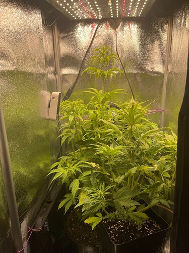 Growreport Bild 21