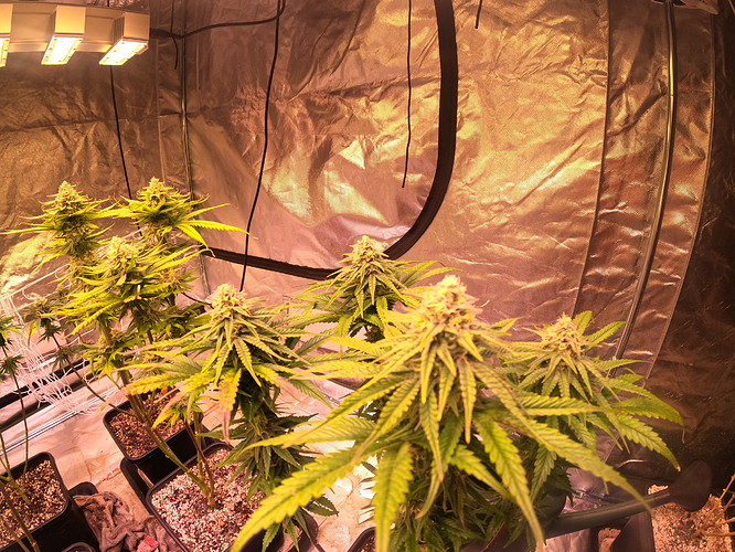 Growreport Bild 4