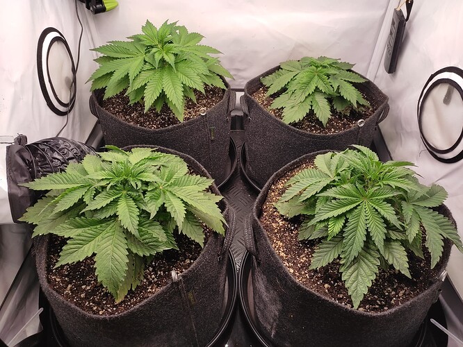 Growreport Bild 10