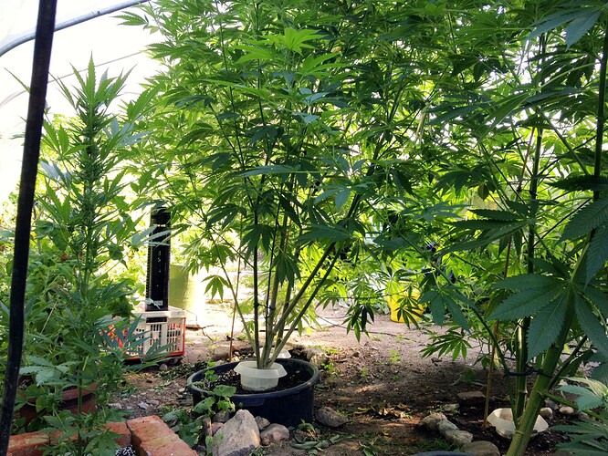 Growreport Bild 30