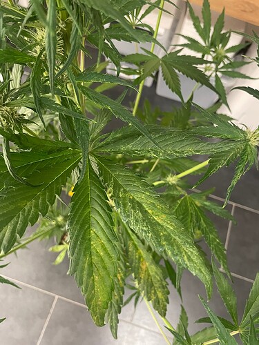 Growreport Bild 19