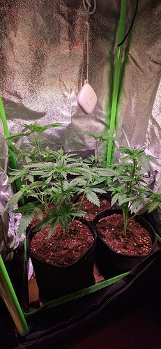 Growreport Bild 10