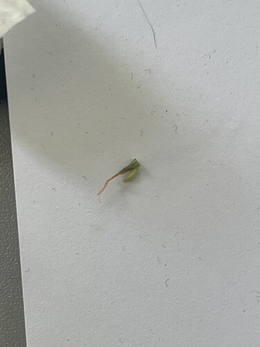 Growreport Bild 28