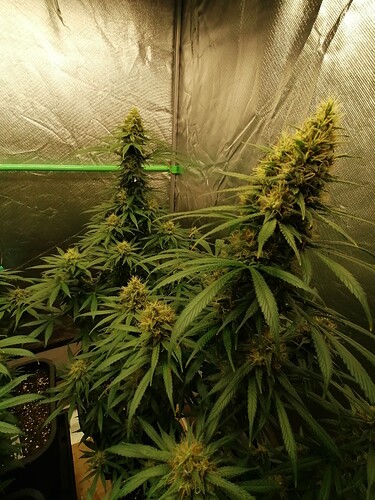 Growreport Bild 10