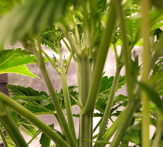 Growreport Bild 8
