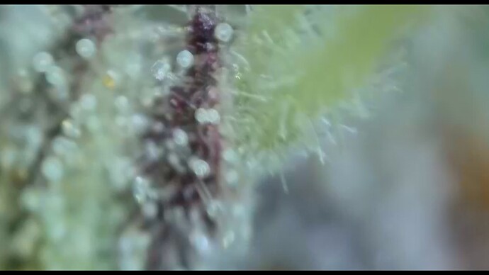 2022-06-15-000522238