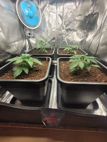 Growreport Bild 12