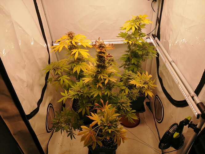 Growreport Bild 7